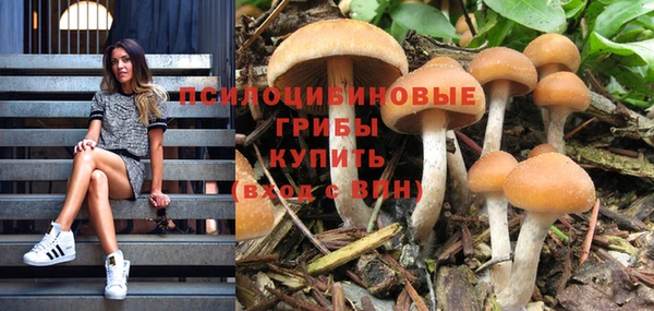 соль ск Алзамай