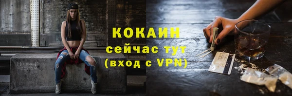 соль ск Алзамай