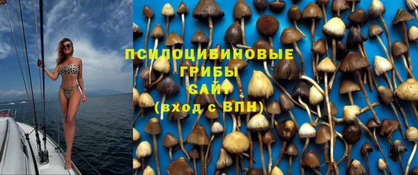 соль ск Алзамай