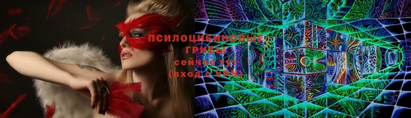 таблы Покачи