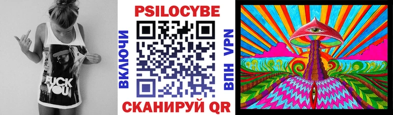 купить   Отрадная  Псилоцибиновые грибы Psilocybine cubensis 